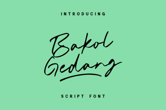 Bakol Gedang: Quirky Handwritten Font