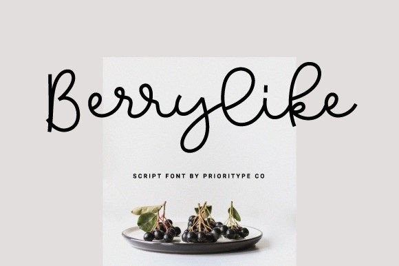 Beautiful Script Font for Designers