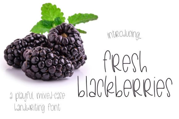 Fresh Blackberries Font Review