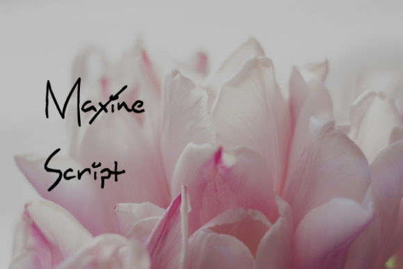 Maxine Script: Elegant Font for Craft Projects