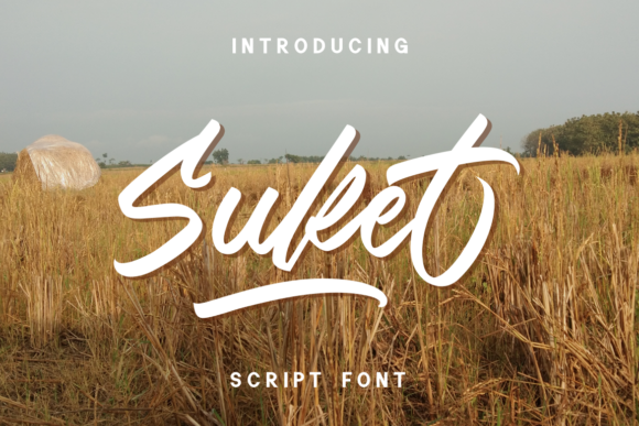 Suket: A Script Font That Shines